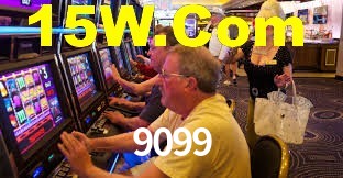 Programa VIP 9099